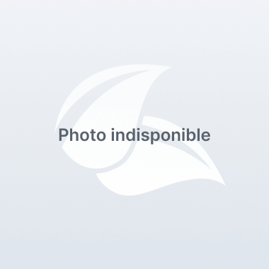 Produit Condensateur 16µ Image